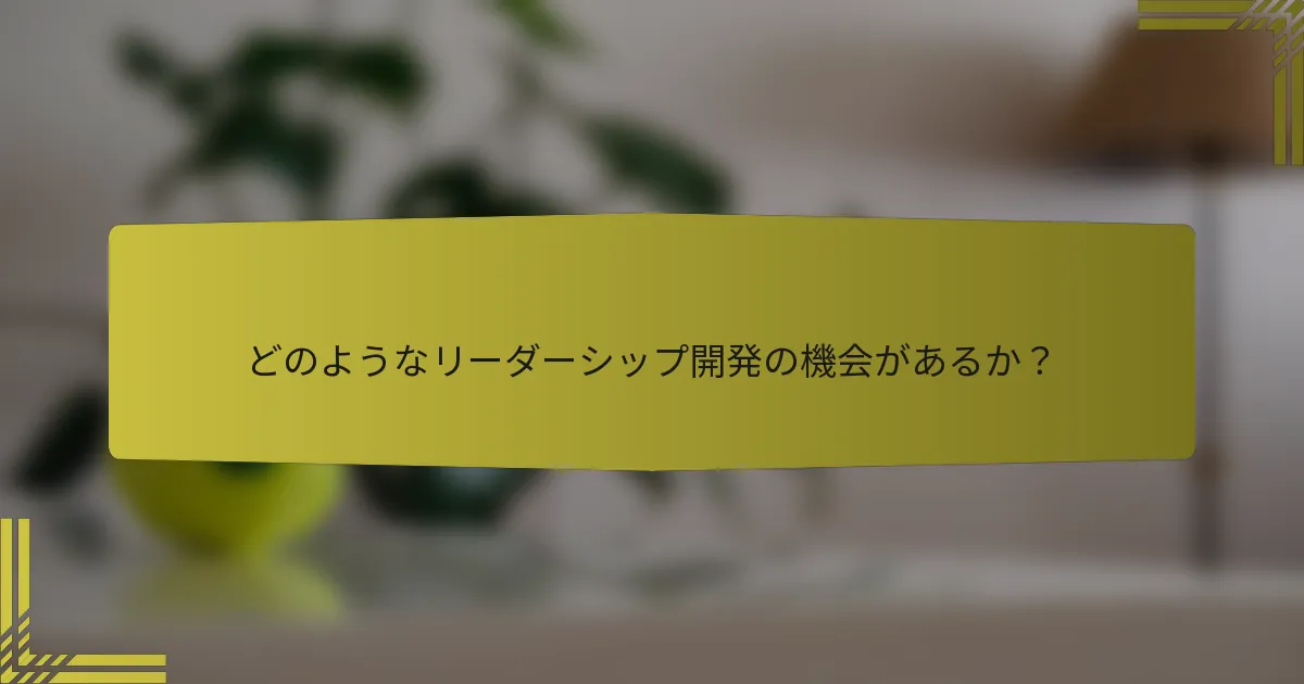 どのようなリーダーシップ開発の機会があるか？
